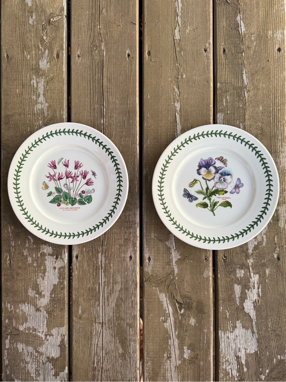 Set of Two Portmeirion Botanic Garden Pattern 9 and 3/8 Inch Luncheon Plates